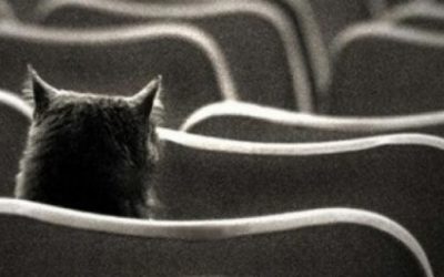 LAS EDADES DEL CINÉFILO