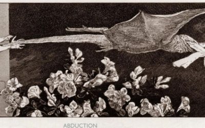 ORLANDO FURIOSO Y SUS DESCENDIENTES (V)