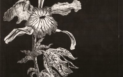 PENUMBRIA Y EL SADISMO (I)