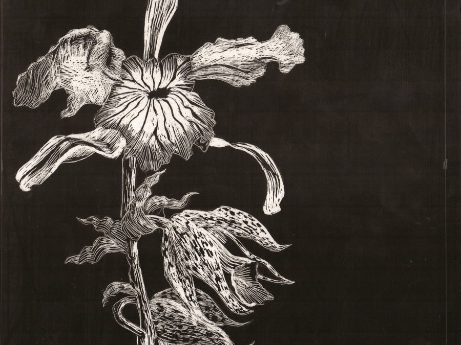 PENUMBRIA Y EL SADISMO (I)