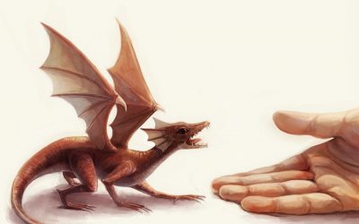 HISTORIAS DE UN DRAGÓN LECTOR