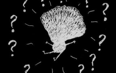 TIM Y SU MUNDO TENEBROSO