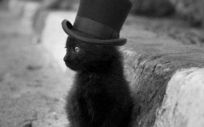 ¡AY, SEÑOR SEPULTURERO!