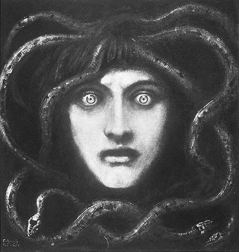 NOTAS SOBRE LA MEDUSA
