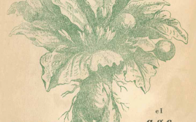 EL A G C DE LA MANDRÁGORA