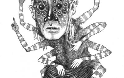 LA PRIMERA ARAÑA (II)