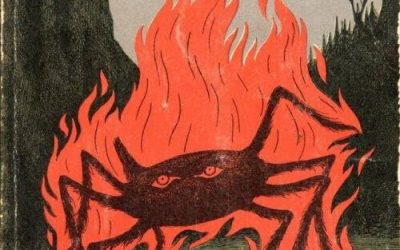 LA PRIMERA ARAÑA (I)