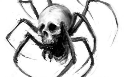 LA PRIMERA ARAÑA (III)