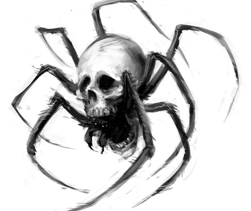 LA PRIMERA ARAÑA (III)