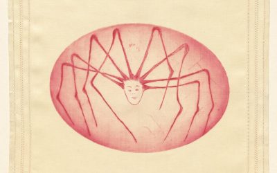 LA PRIMERA ARAÑA (IV)