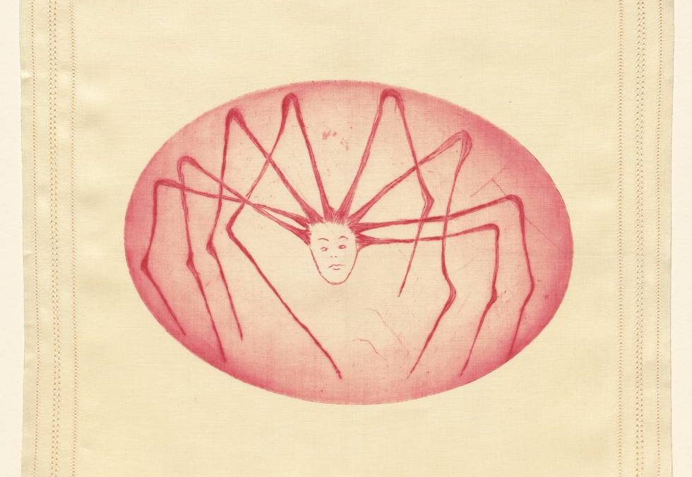 LA PRIMERA ARAÑA (IV)