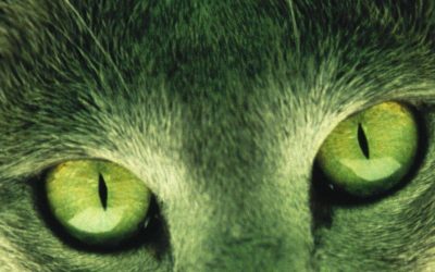 LA ORILLA DE KAFKA TAMURA