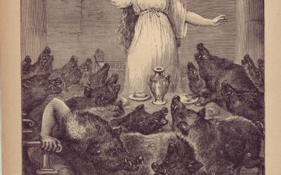 EL SUEÑO DEL CERDO (I)