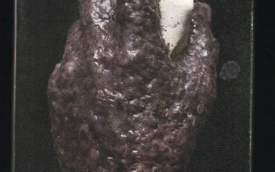 EL SUEÑO DEL CERDO (V)