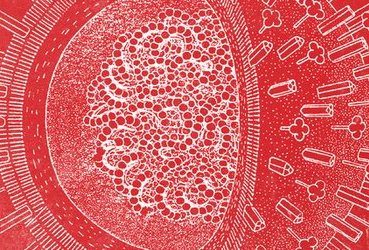 APOCALIPSIS A PARTIR DE AHORA