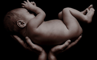 SUPLANTACIONES MACABRAS