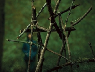 EL MISTERIO DE LAS ESTACAS