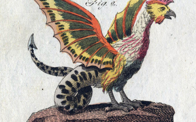 EL PEQUEÑO REY: HISTORIA DE UN BASILISCO