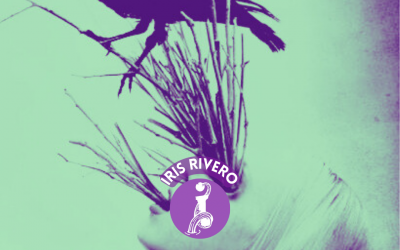 BRUJERÍA TRADICIONAL EN LA SERIE SALEM (II)