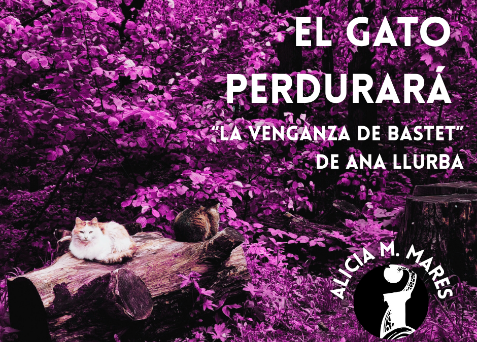 EL GATO PERDURARÁ
