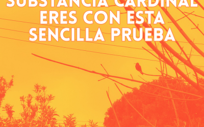 DESCUBRE QUÉ SUBSTANCIA CARDINAL ERES CON ESTA SENCILLA PRUEBA